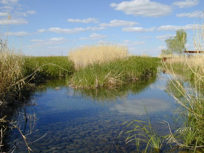 Balmorhea Springs, Texas