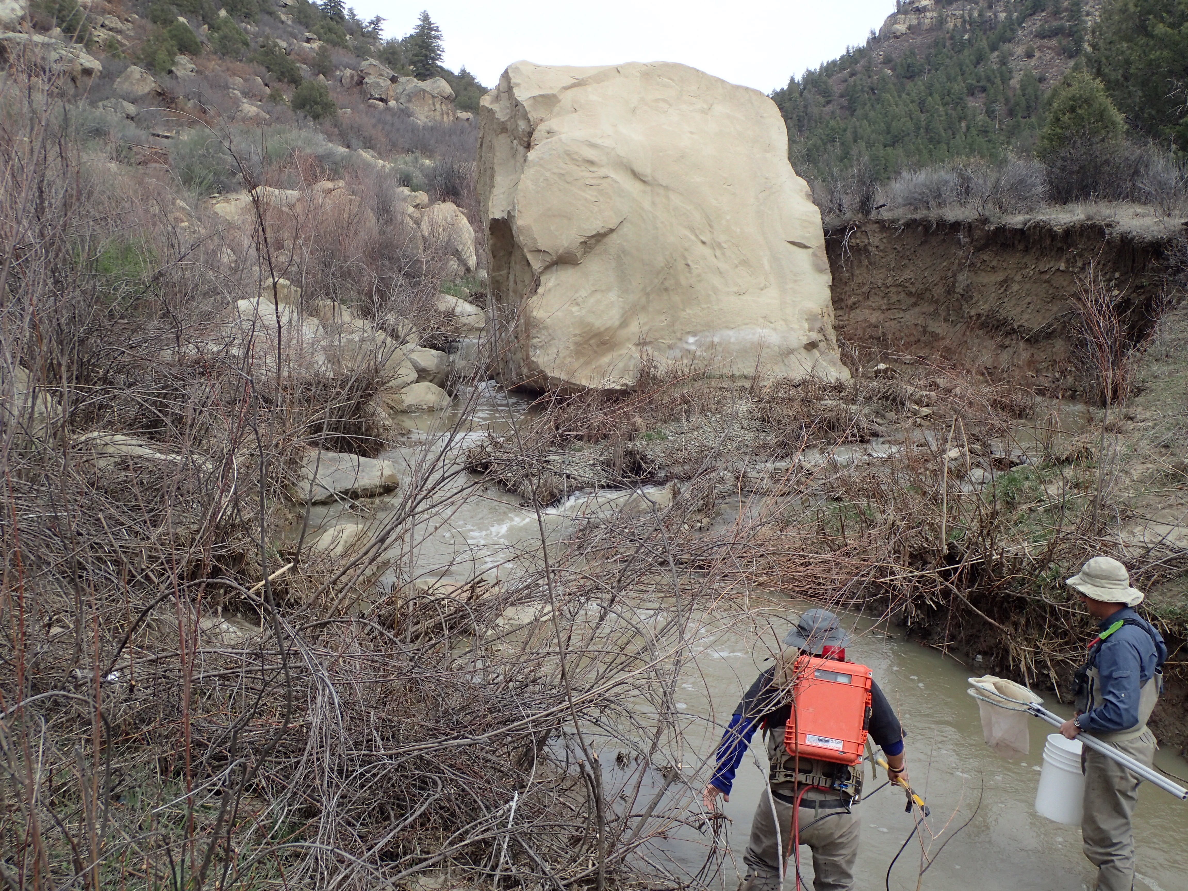 Amargo Creek, New Mexico