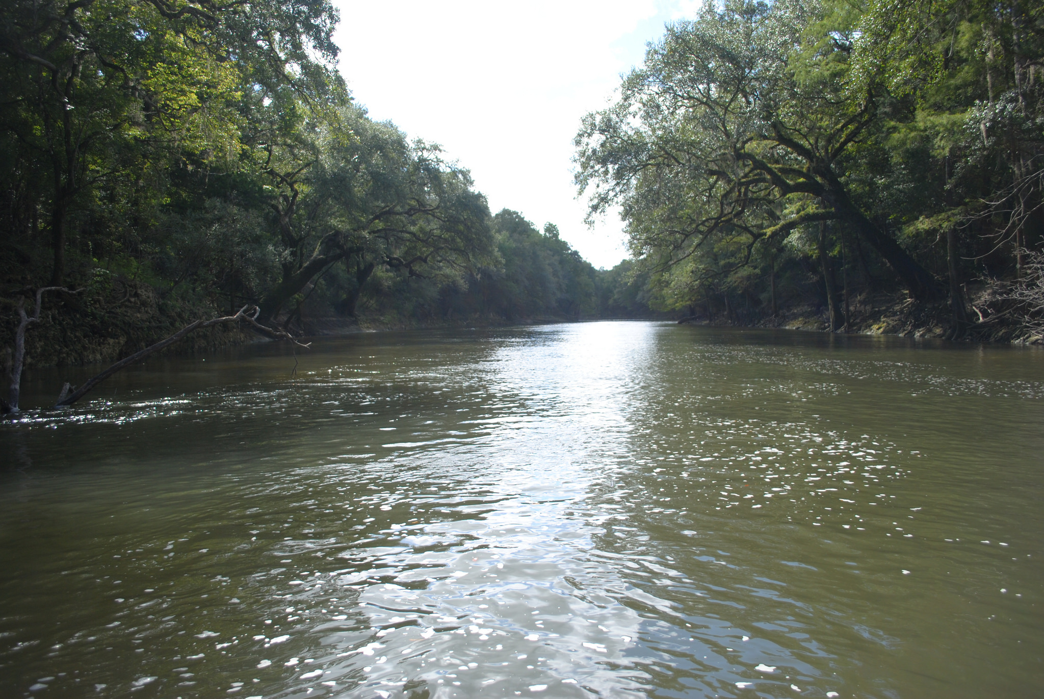 Chipola River, Florida