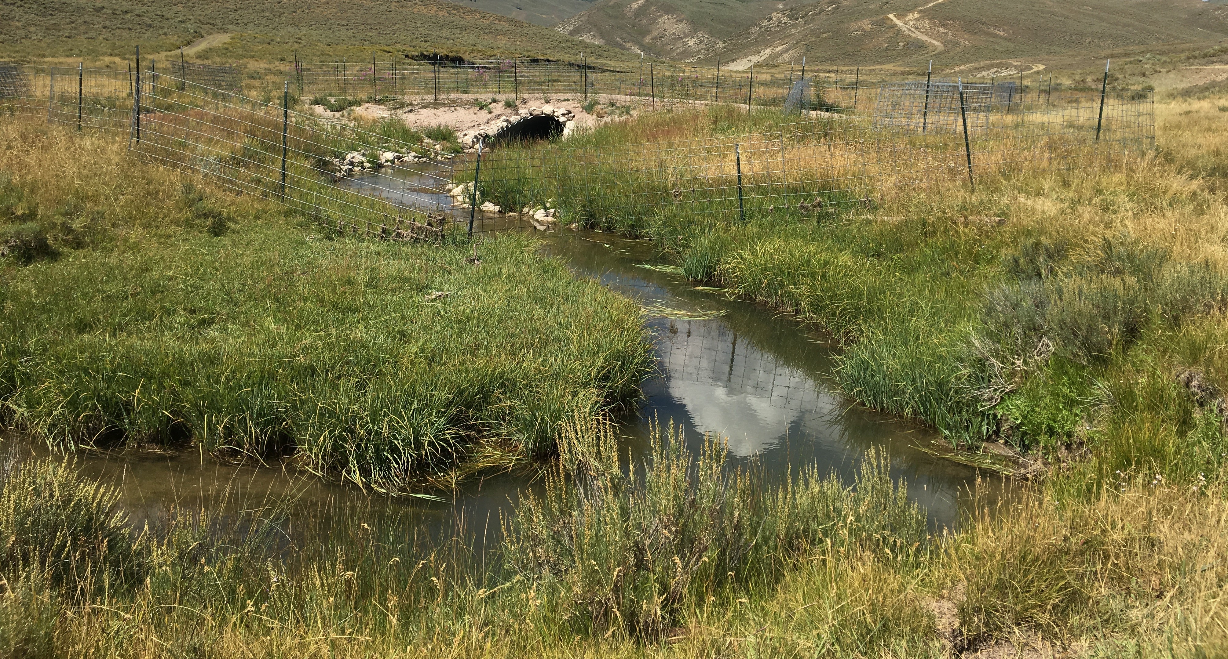 Coal Creek, Wyoming