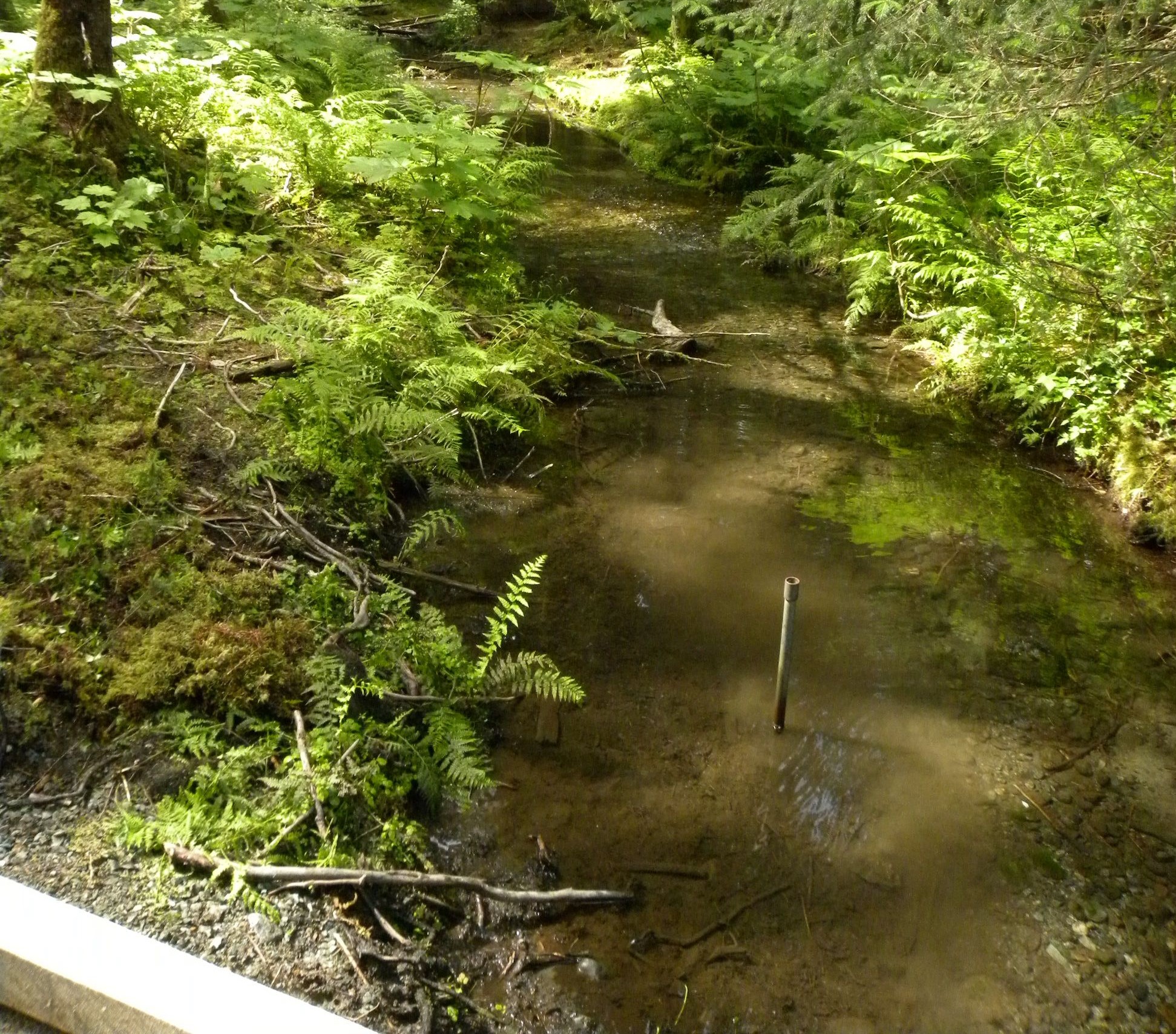 Jordan Creek, Alaska