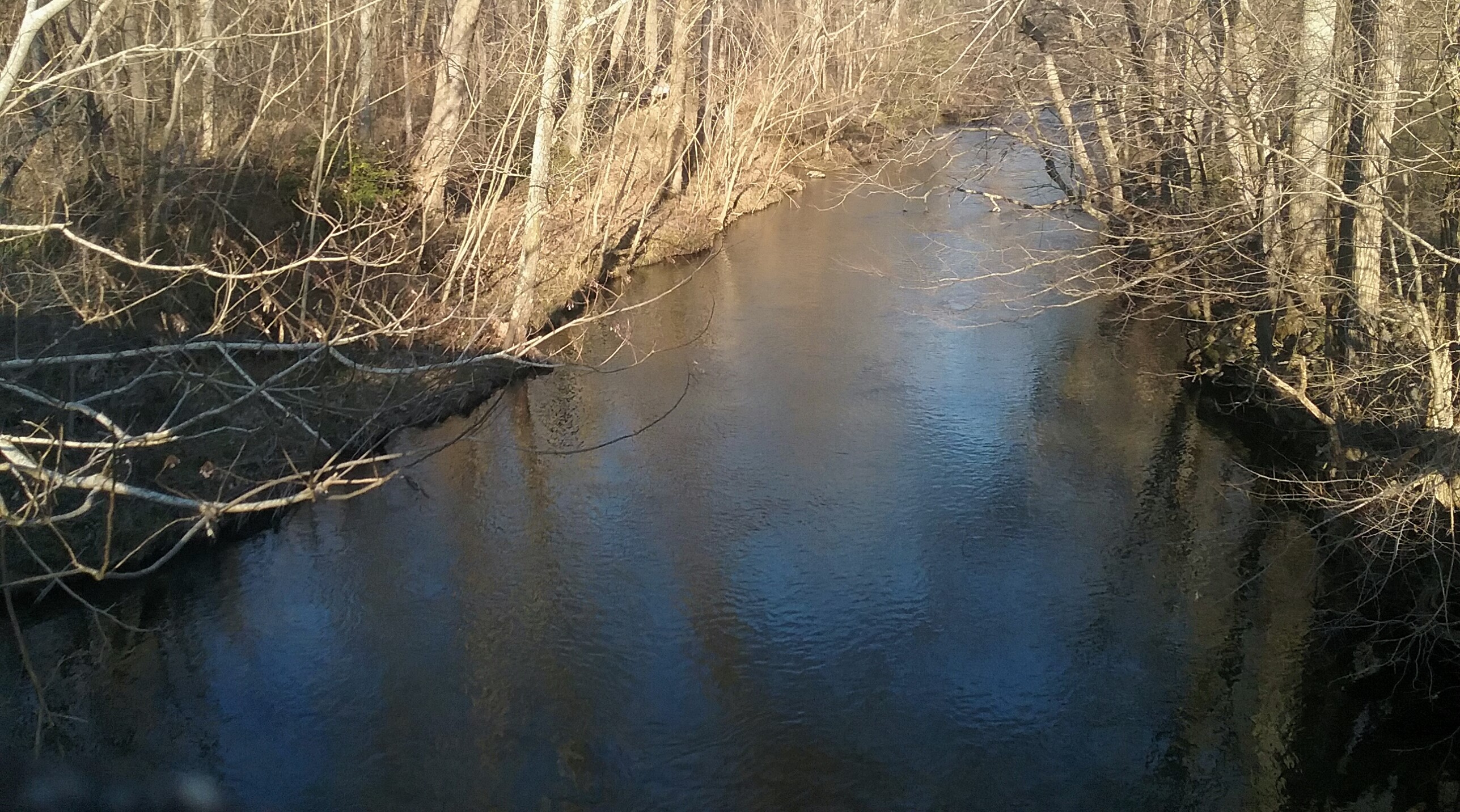 Holly Creek, Georgia