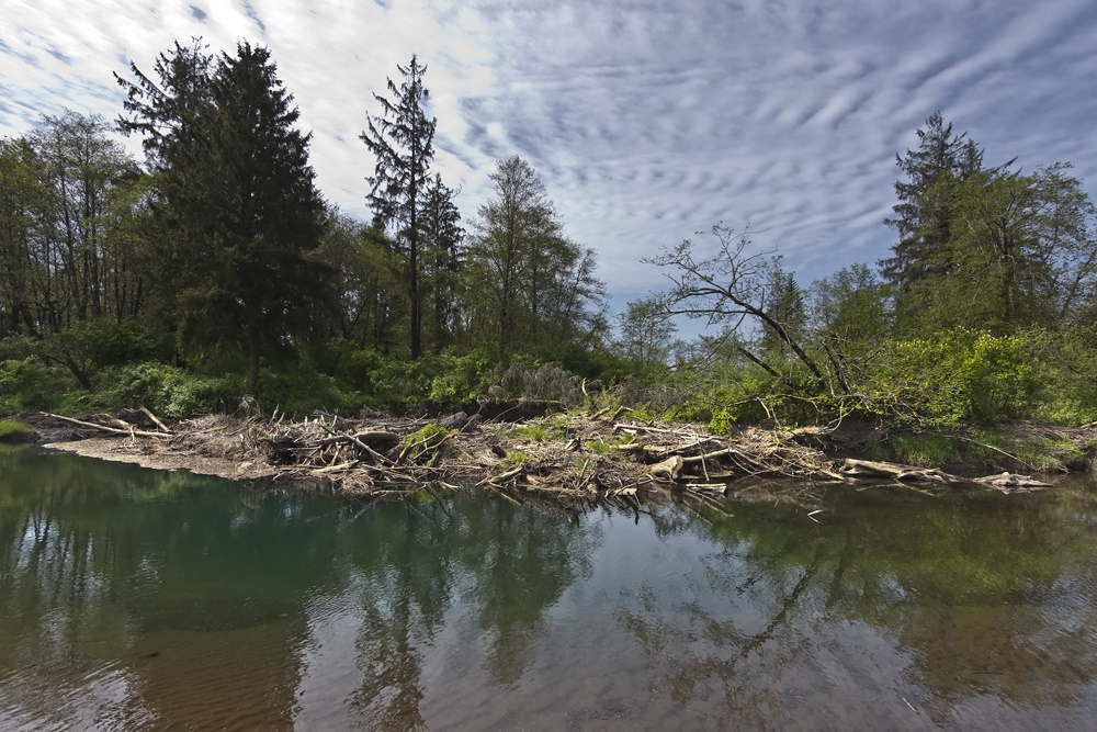 Kilchis Estuary, Oregon