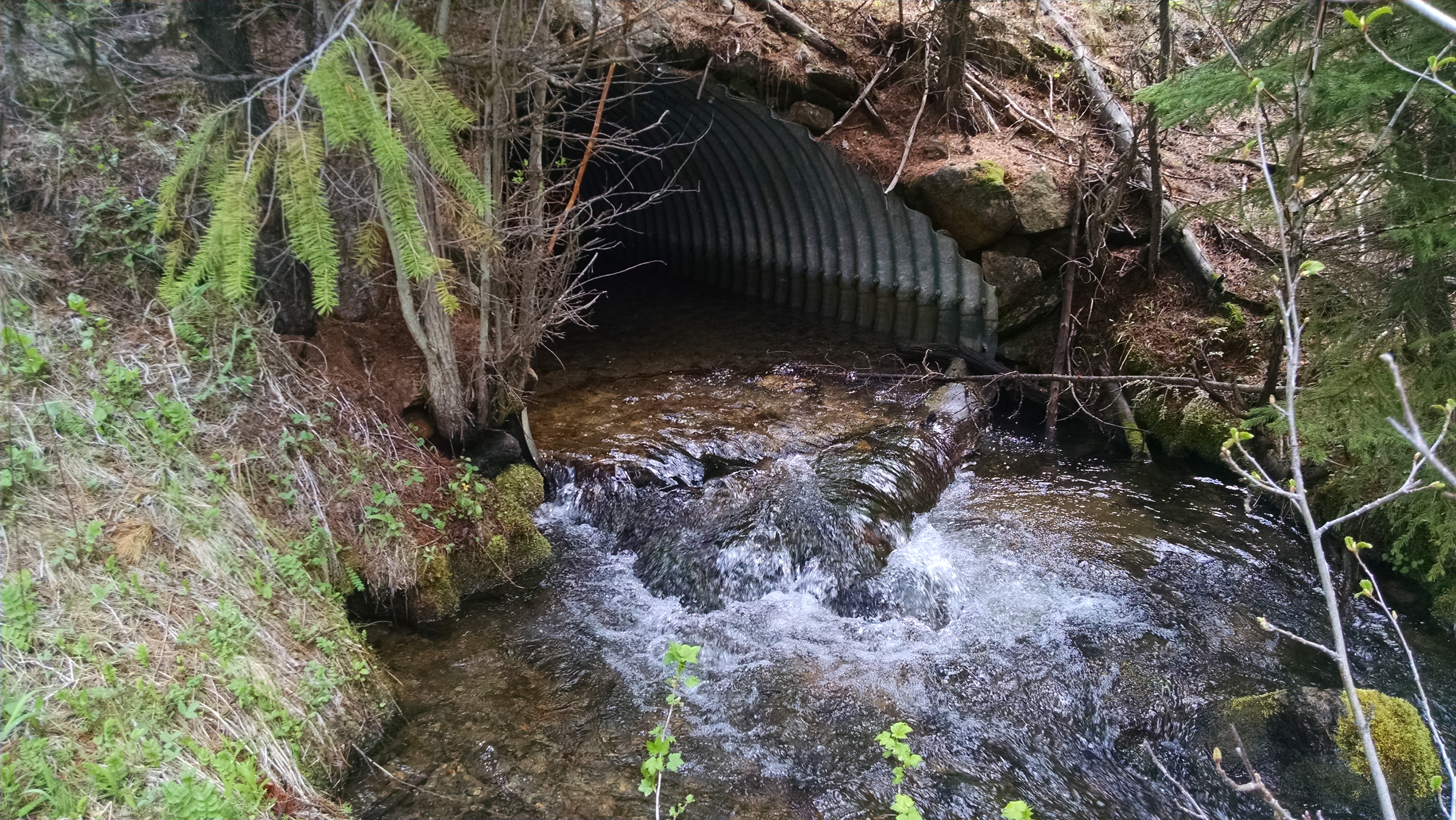 Boundary Creek, Oregon