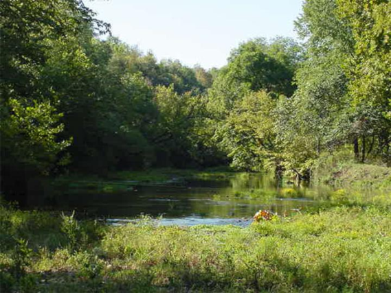 Peno Creek, Missouri