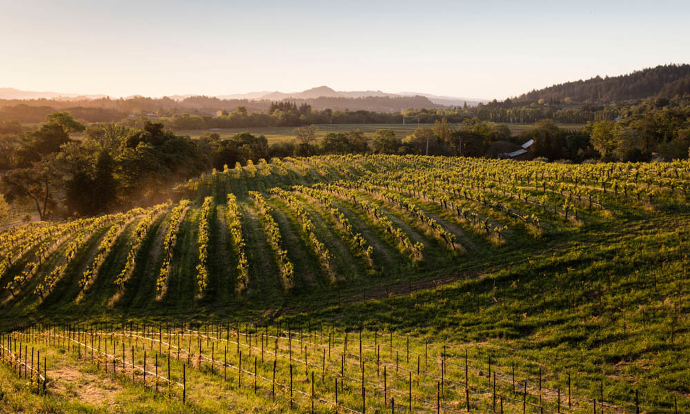 Grape Creek, California