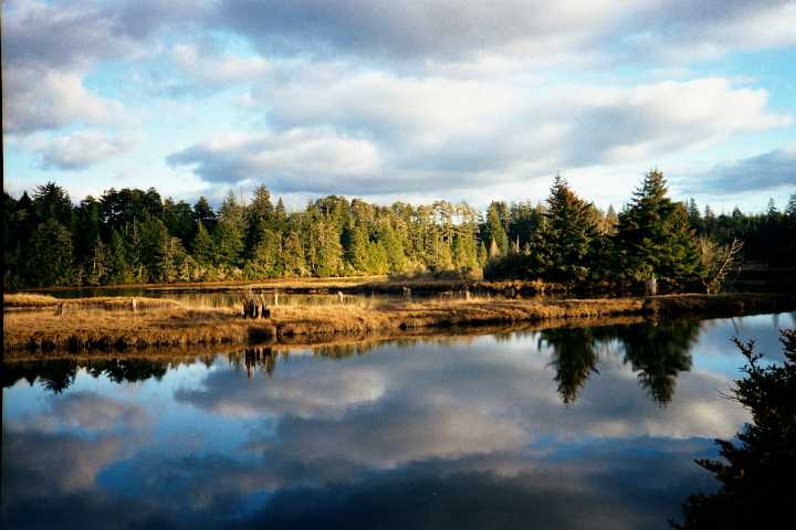 Pacific Marine and Estuarine Fish Habitat Partnership