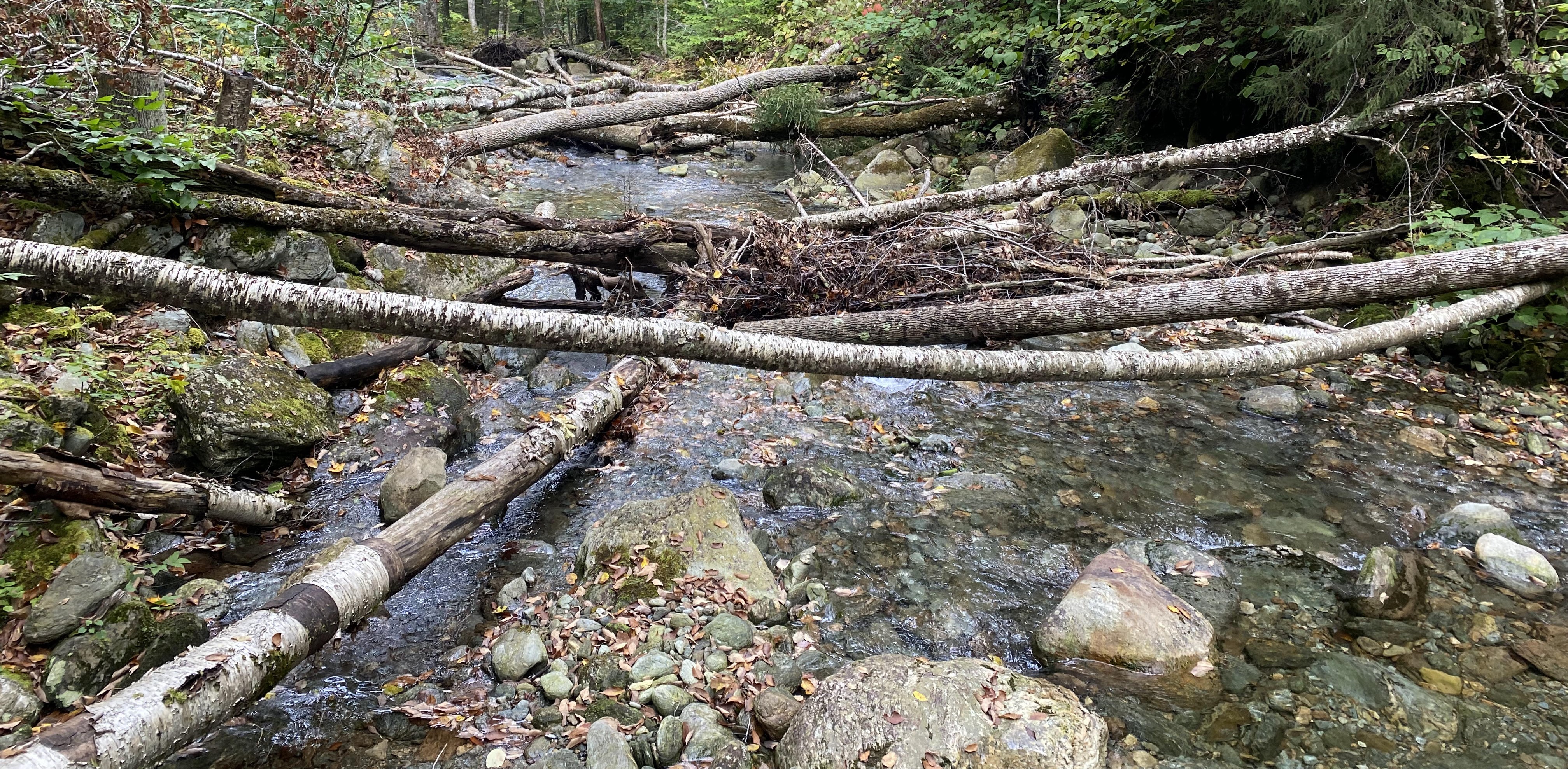 Upper White River, Vermont