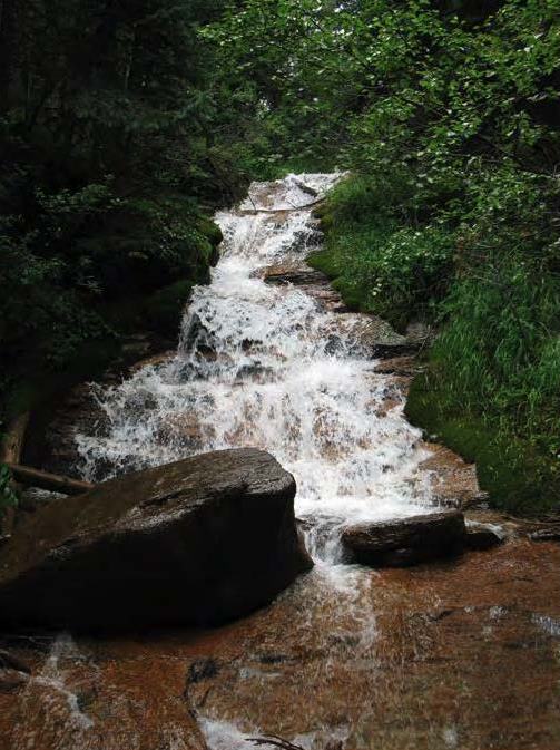 Bear Creek, Colorado