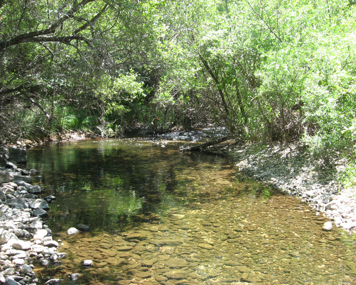 Carmel River, California