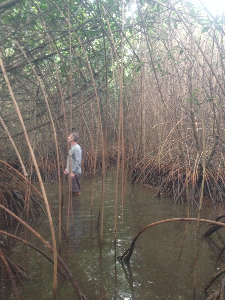 Lower He’eia Stream, Hawaii