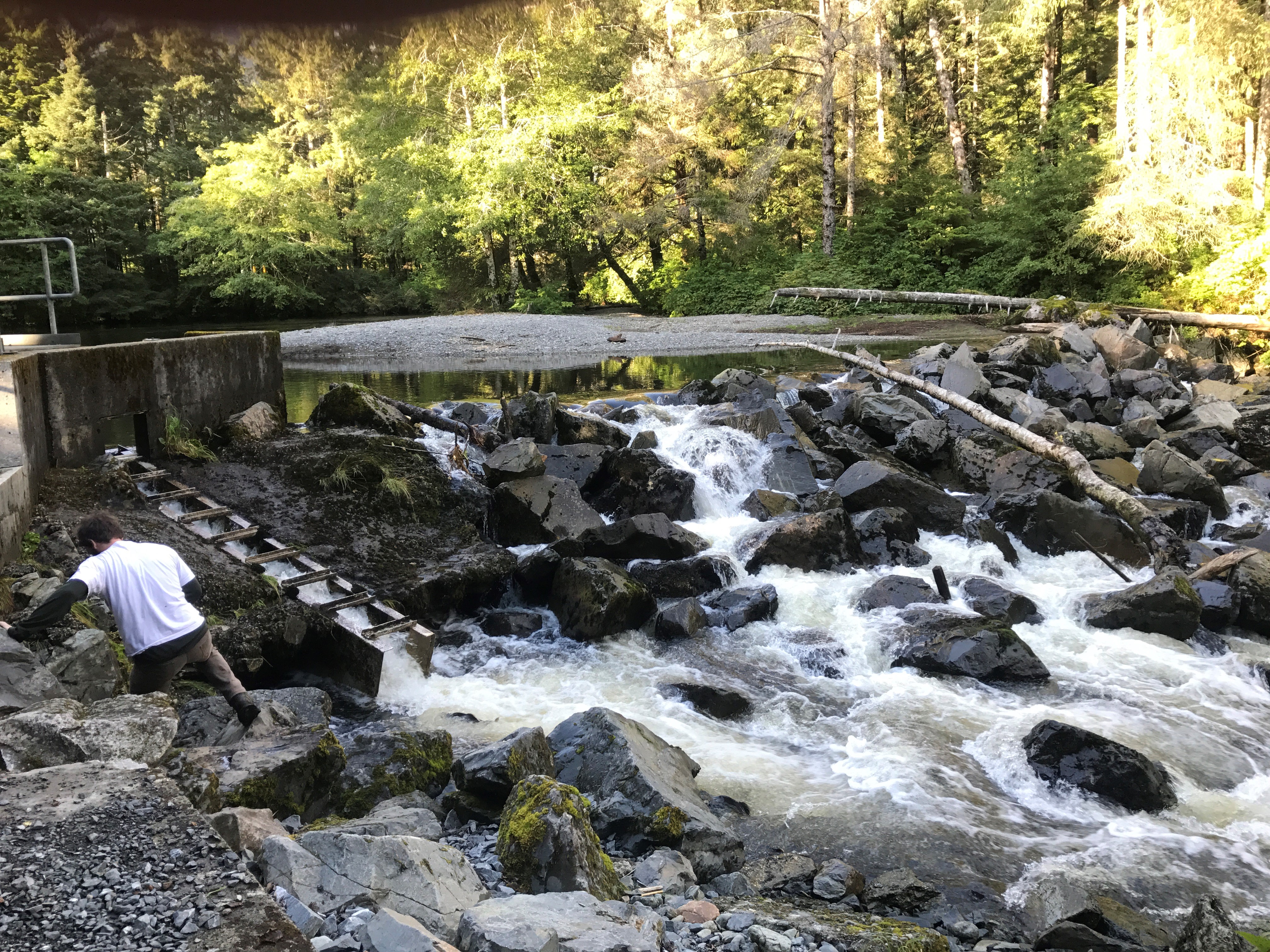 Indian River, Alaska