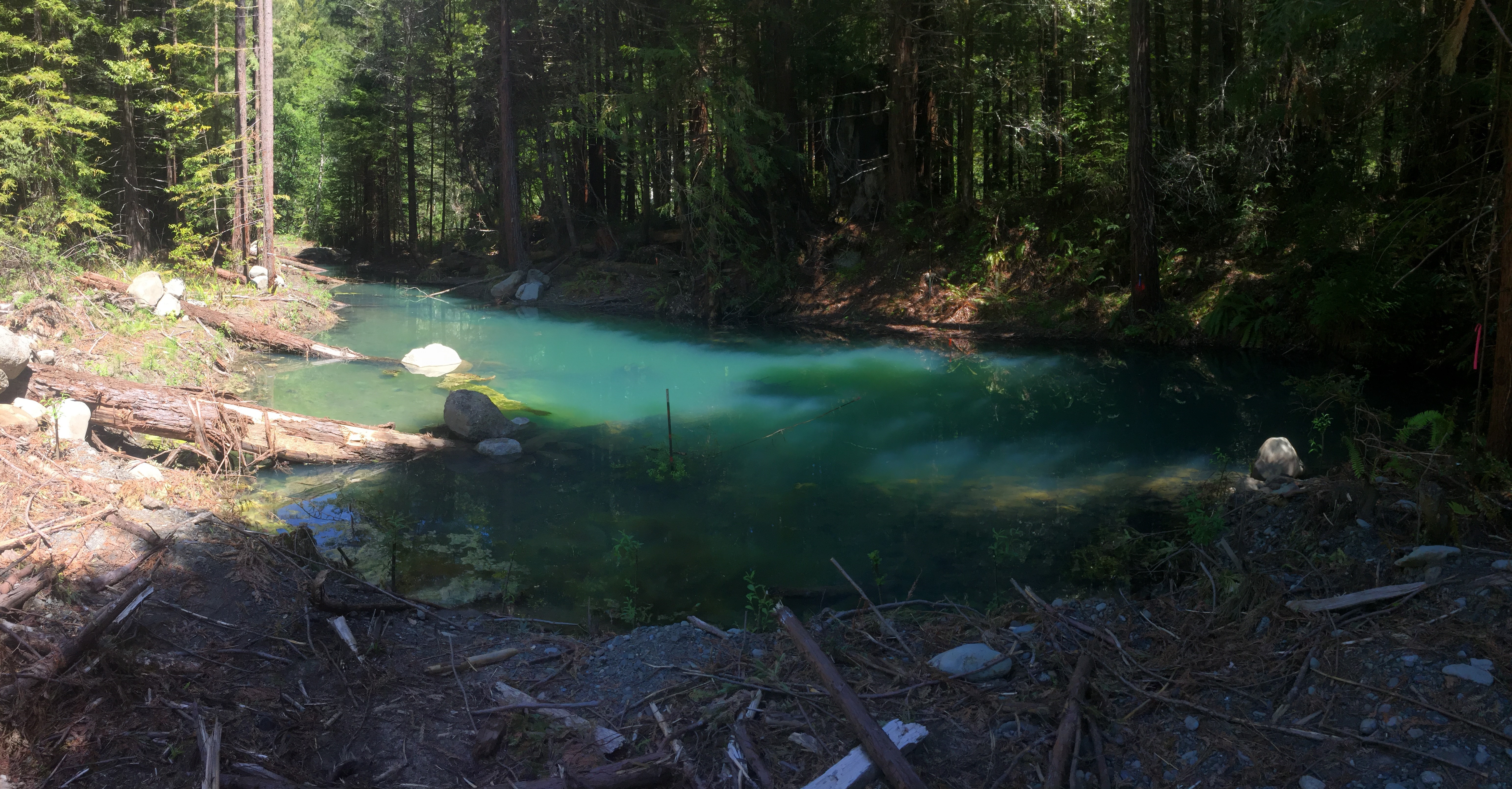 Lawrence Creek, California