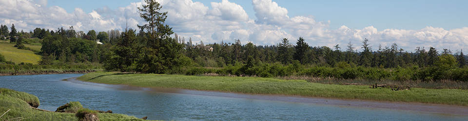 Qwuloolt Estuary, Washington