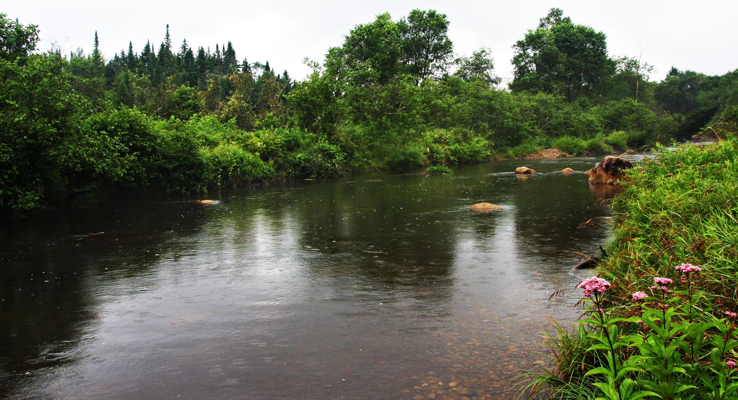 Nash Stream, New Hampshire