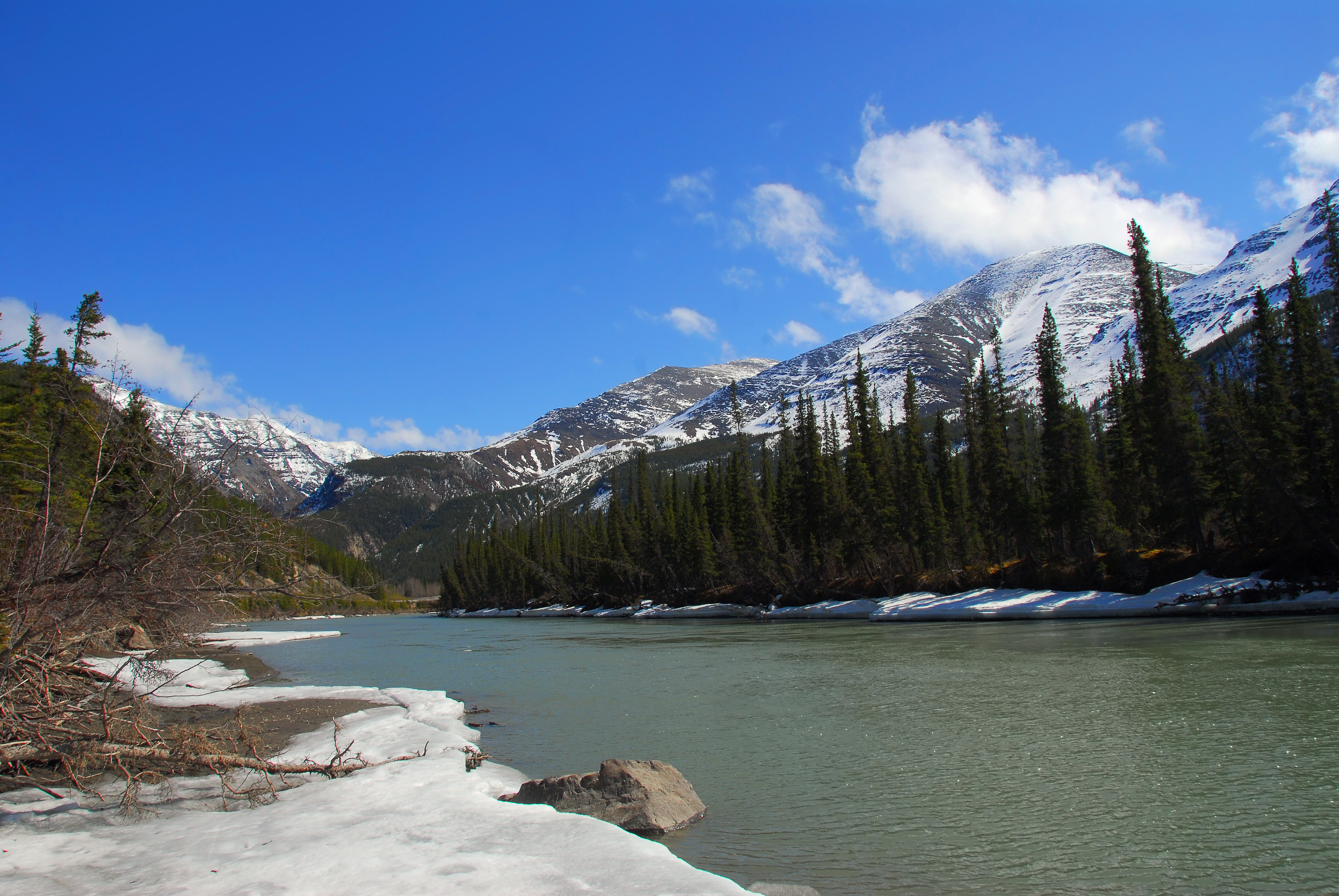 Southeast Alaska Fish Habitat Partnership