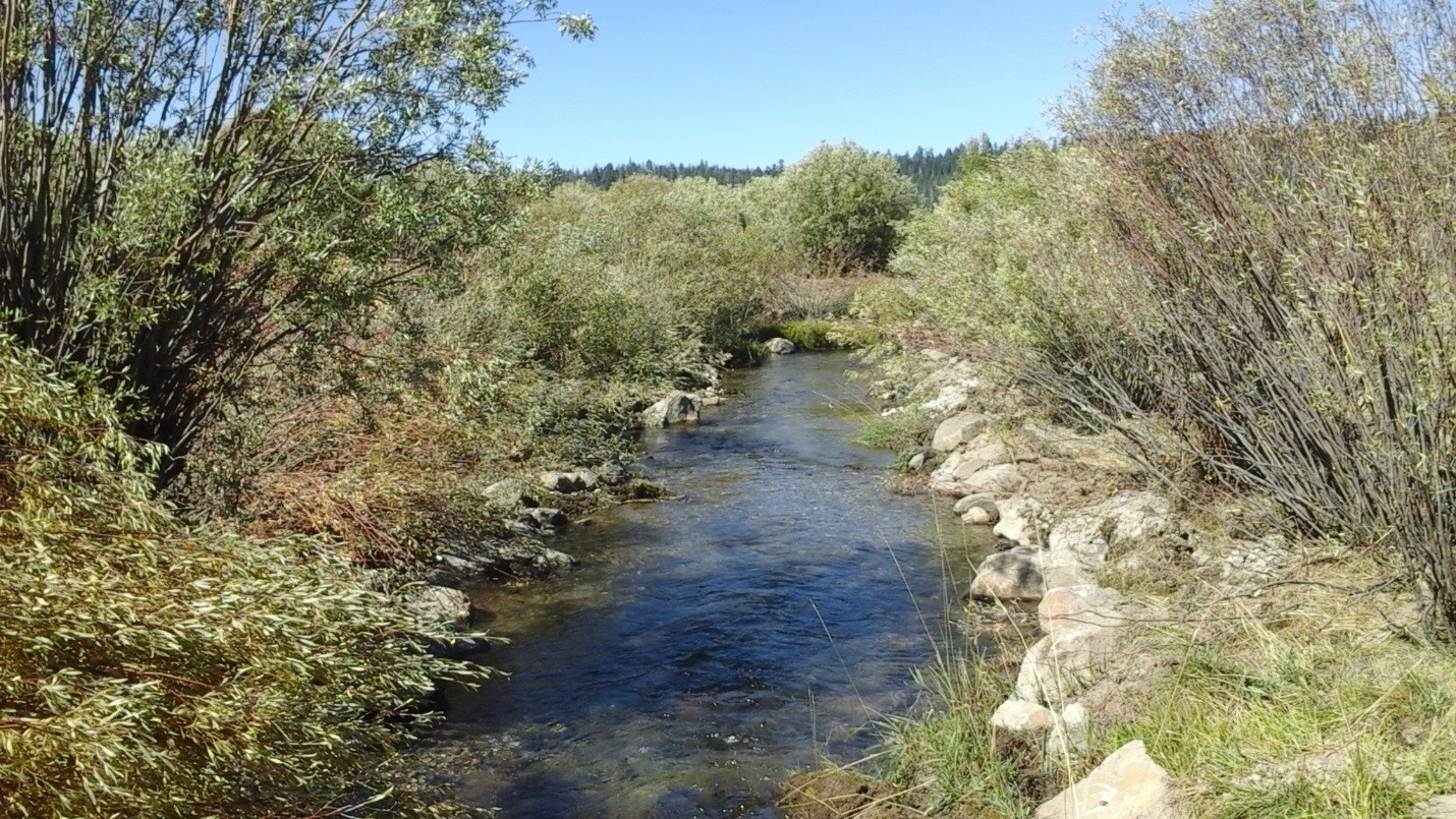 Upper Sycan River, Oregon