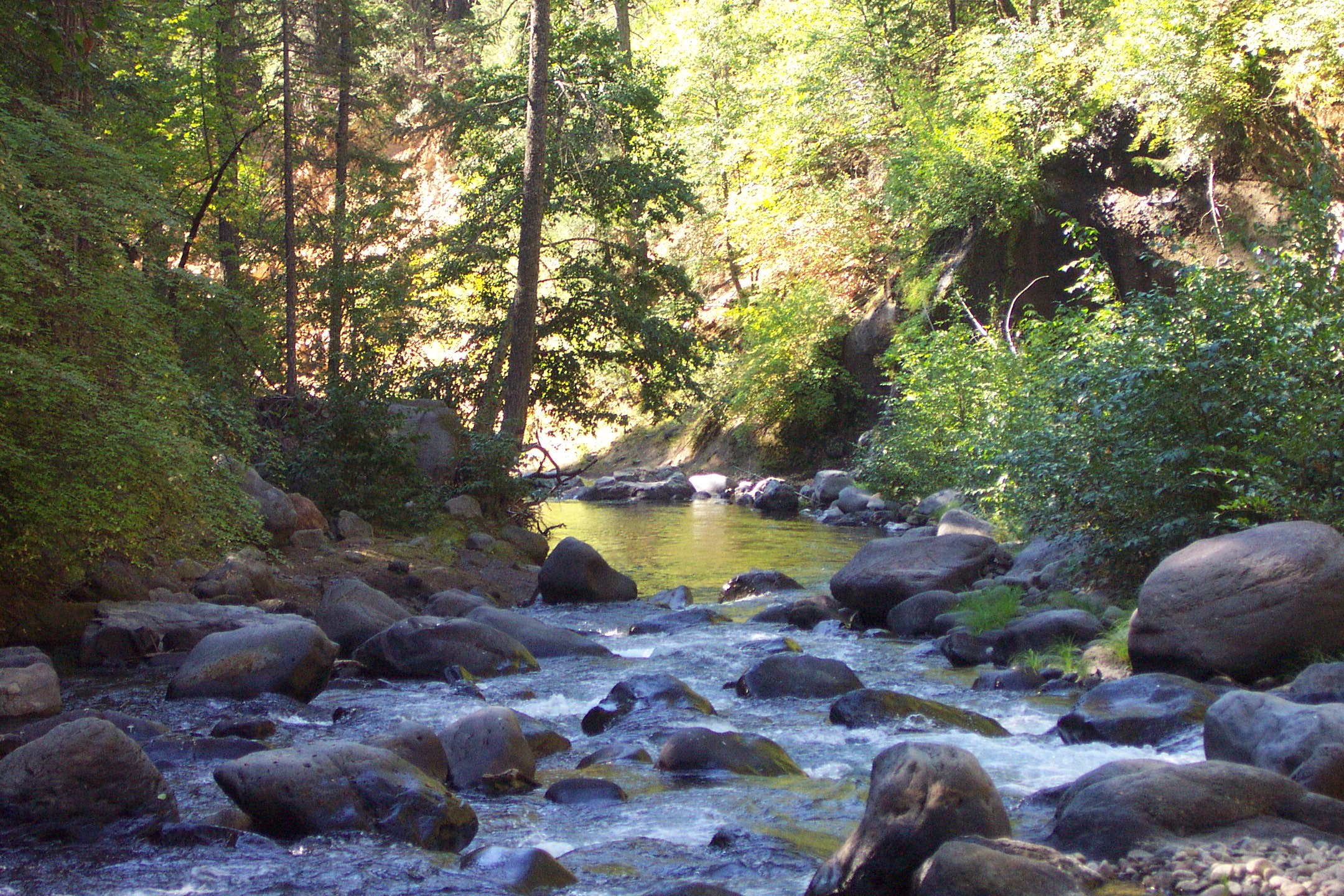 Mill Creek and Deer Creek, California