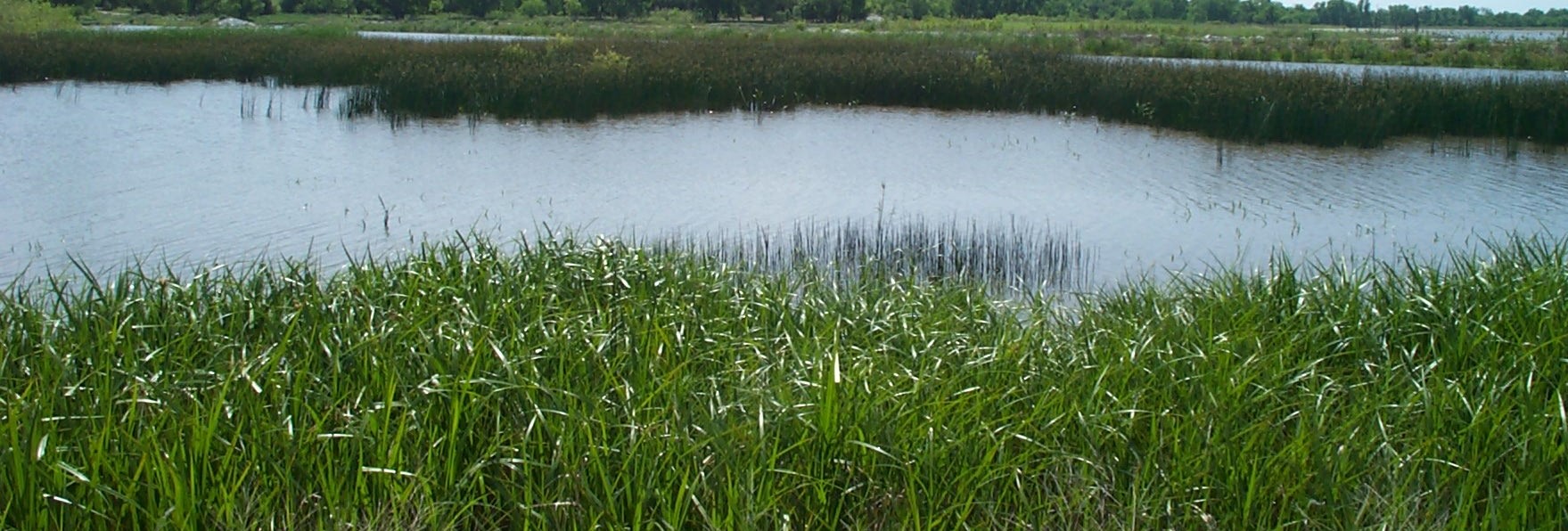 Williamsburg Off-Channel Wetland, Ohio