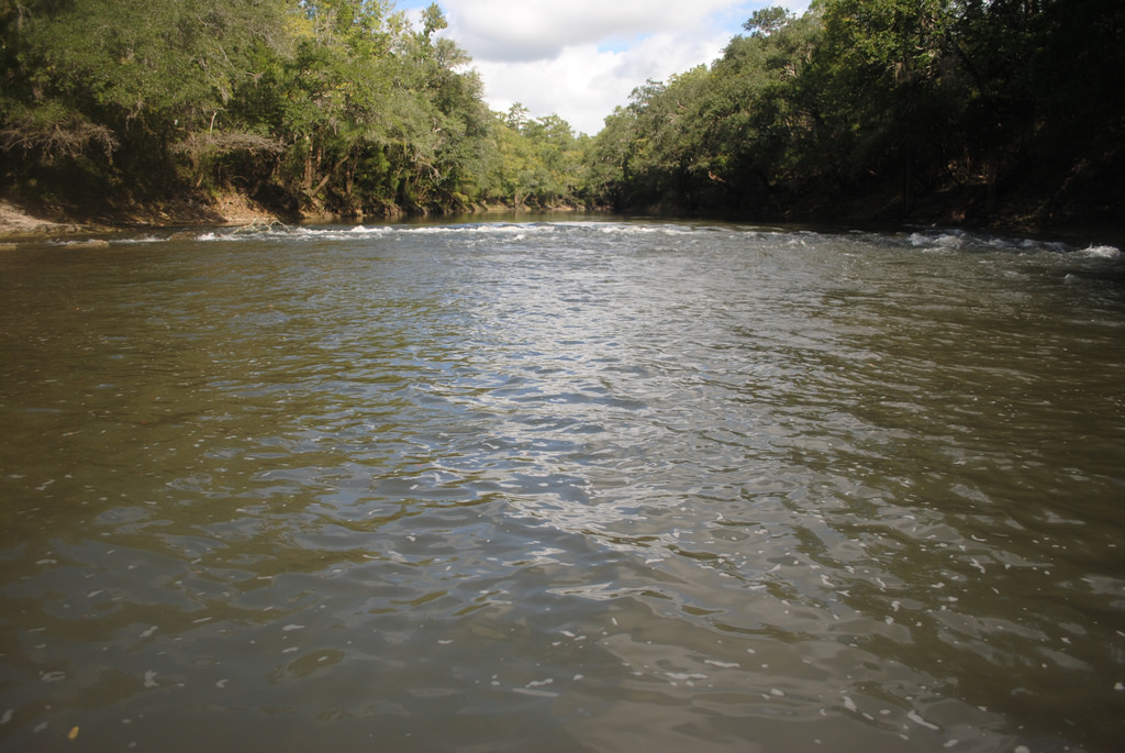 National Fish Habitat Partnership Codified with President’s Signing of S. 3051