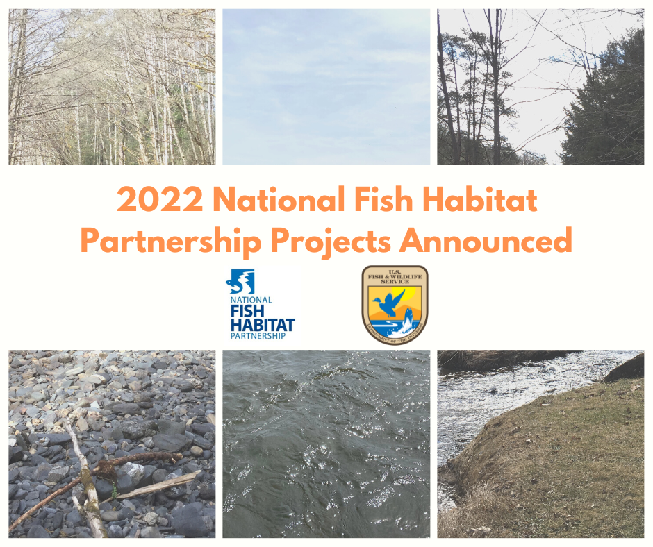 USFWS and Partners Announce More than $53.2 Million for Fish Habitat Conservation in 2022