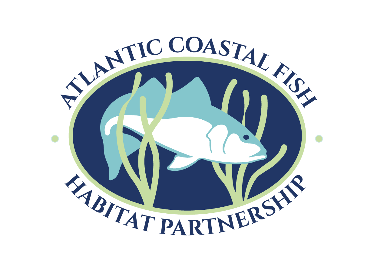 Atlantic Coastal Fish Habitat Partnership Launches New Interactive StoryMap Highlighting Coastwide Habitat Conservation Efforts