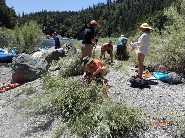 California Fish Passage Forum Releases New StoryMap: Connecting People and Fish in Urban and Rural Watersheds