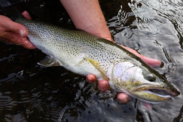 National Fish Habitat Partnership Projects to Enhance Recreational Fishing and Restore Habitat