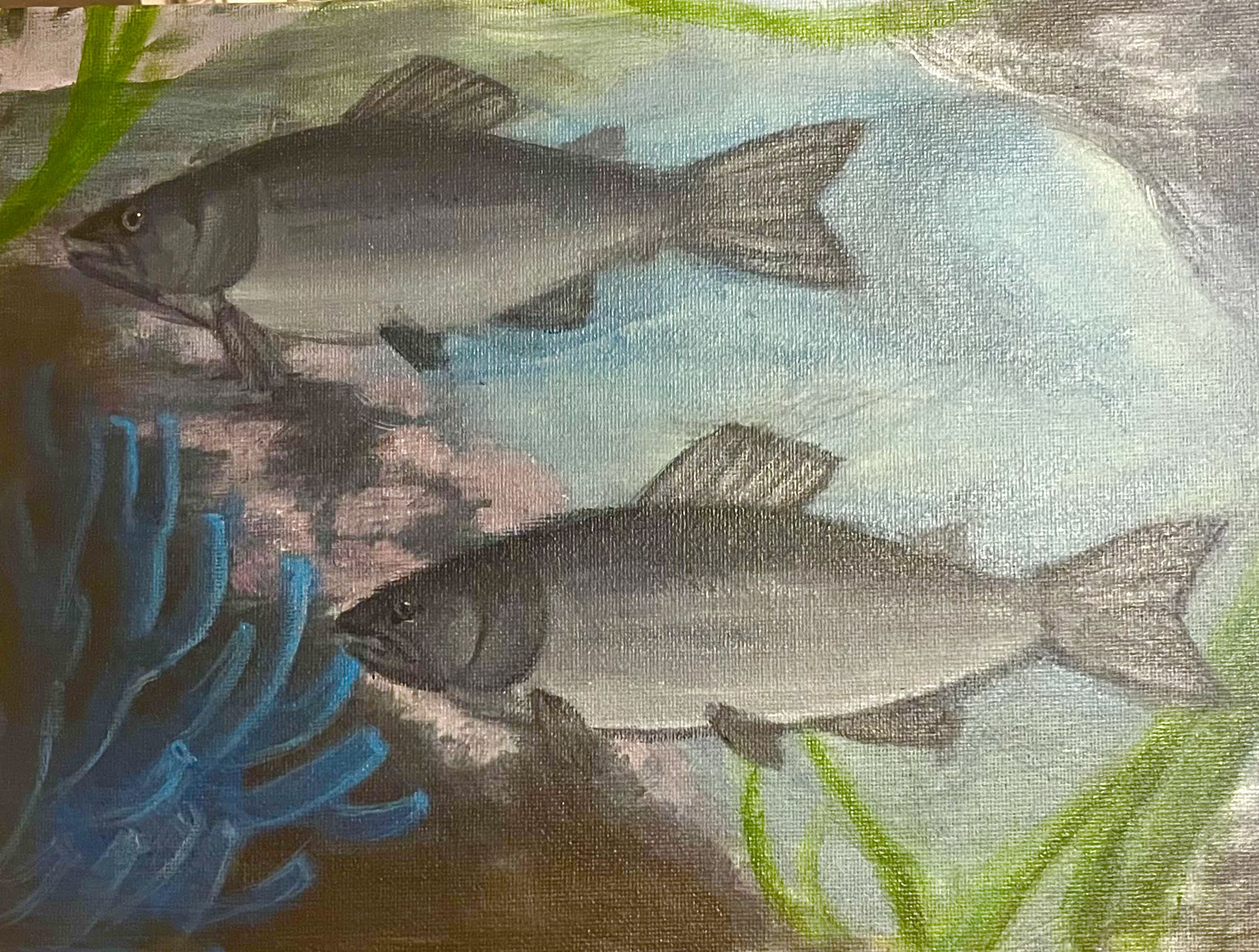 State Fish Art Contest Winners Announced including National Fish Habitat Essay Winners!