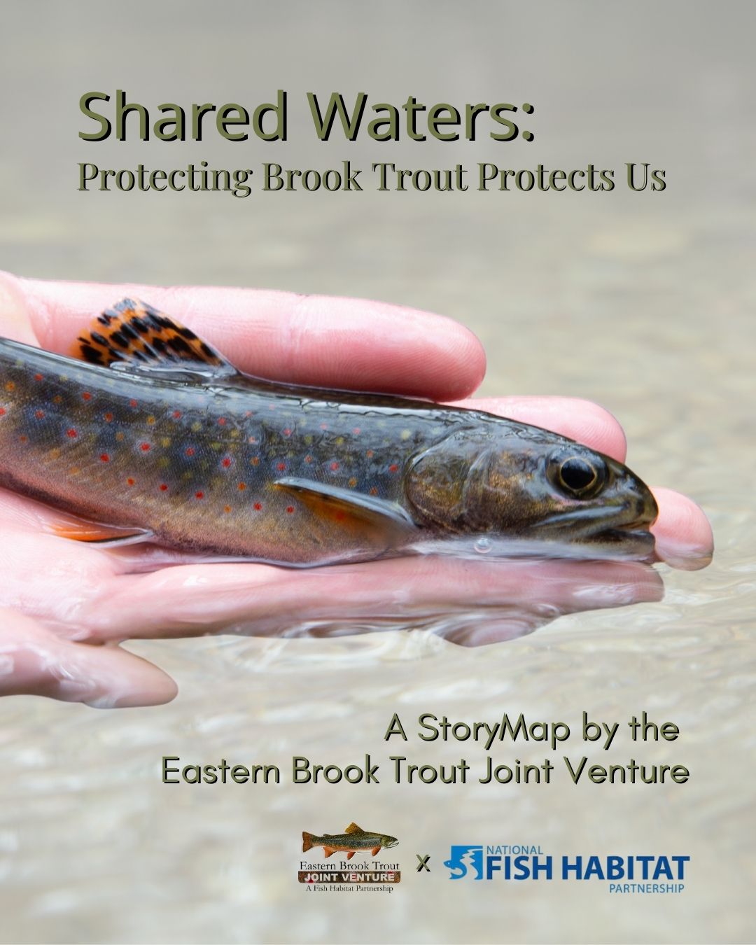 Eastern Brook Trout Joint Venture Releases New StoryMap: Shared Waters
