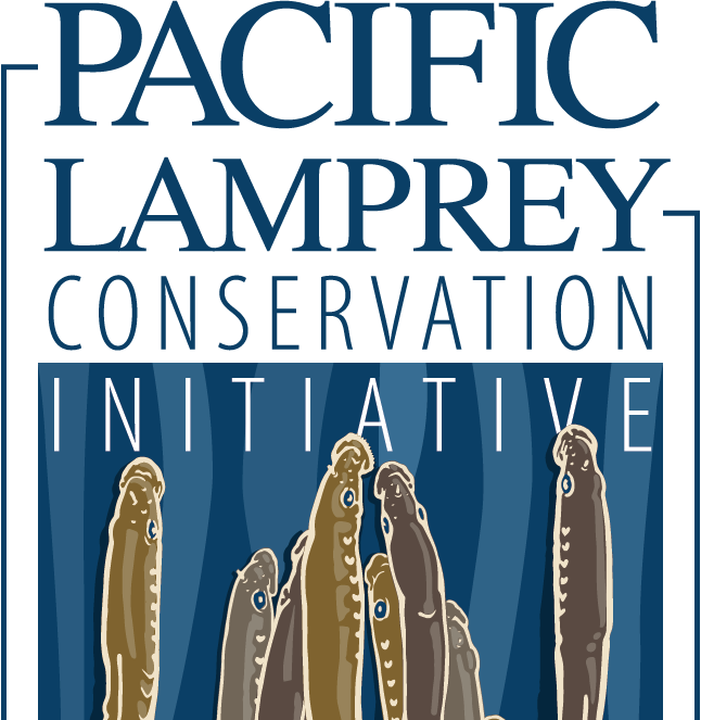 Pacific Lamprey Conservation Initiative Releases New StoryMap Showcasing Tribal-Led Conservation and Collaborative Restoration Across the Pacific Northwest 