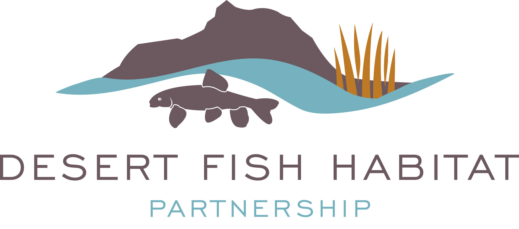 Desert Fish Habitat Partnership Launches New StoryMap Highlighting Conservation of Imperiled Desert Aquatic Ecosystems